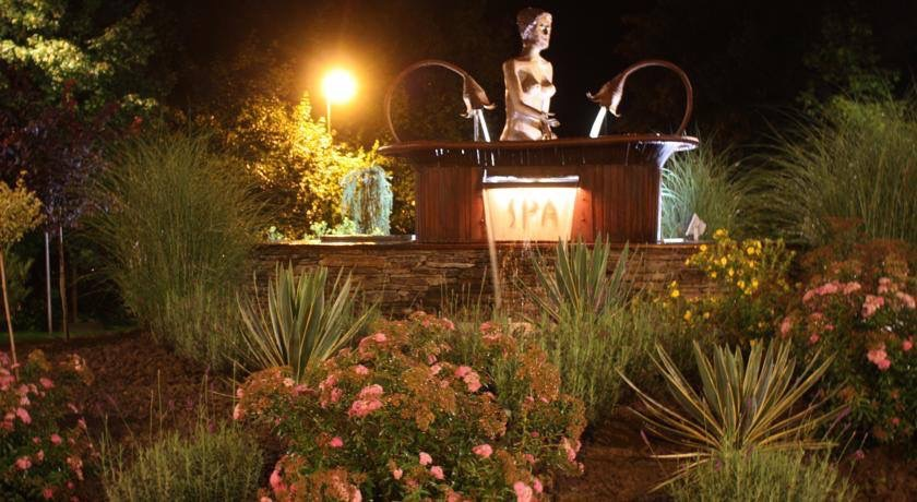 Bloementuin en verlichte fontein